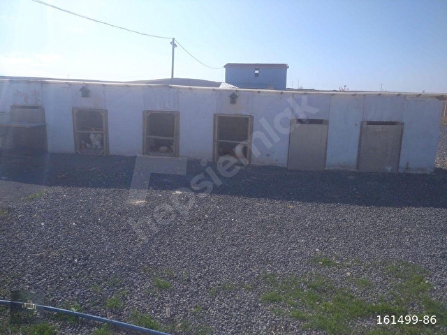 Armutlu Köyü’nde Satılık Ruhsatlı Çiftlik - Görsel 27