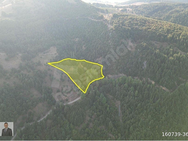 Doğancıda Yatırıma Uygun 3.189 m² Satılık parsel - Görsel 4