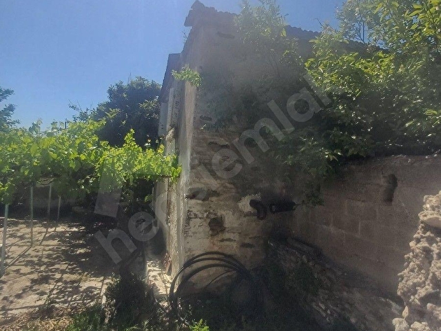 bahçeli köy evi - Görsel 3