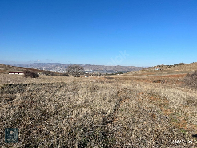 HASANDEDE DE 8384 M2 TEK TAPU TARLA - Görsel 2