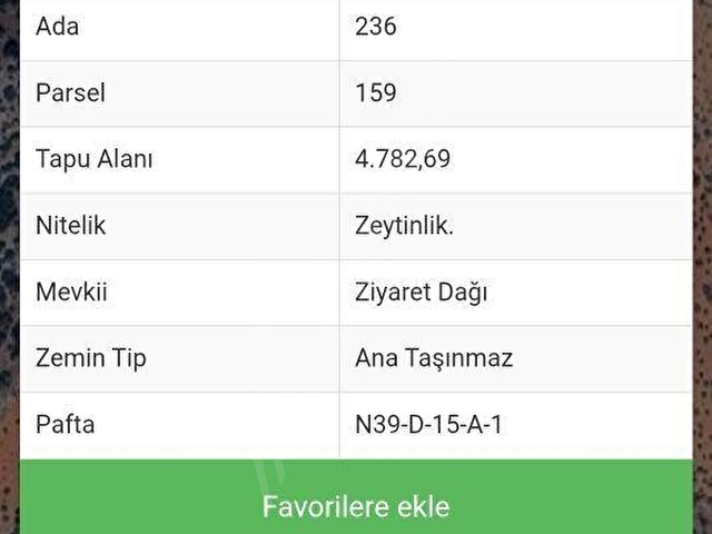 LİMANDAN HARİKA FIRSAT ZEYTİNLİK - Görsel 4