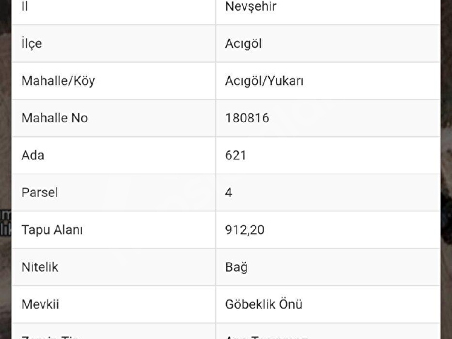 Acıgölde Hobi Bahçelik Bağ - Görsel 5