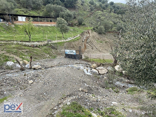 Manisa Şehzadeler Adnan Menderes Mahallesi de Satılık Zeytinlik - Görsel 30