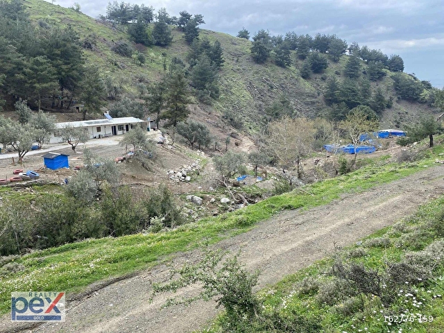 Manisa Şehzadeler Adnan Menderes Mahallesi de Satılık Zeytinlik - Görsel 20