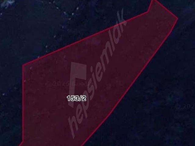 Manisa Şehzadeler Adnan Menderes Mahallesi de Satılık Zeytinlik - Görsel 3