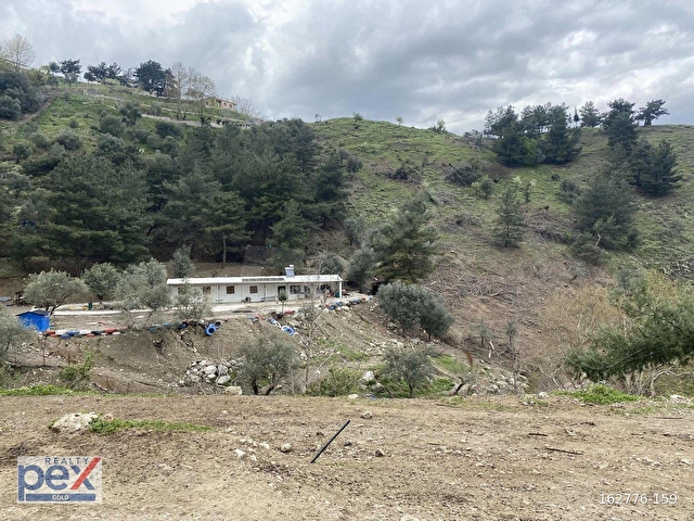 Manisa Şehzadeler Adnan Menderes Mahallesi de Satılık Zeytinlik - Görsel 6