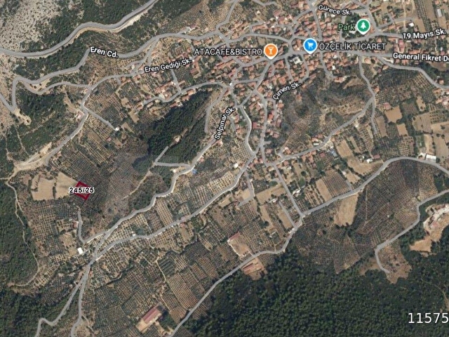 LİDERDEN Muğla Menteşe Kafacada Satılık Zeytinli Tarla - Görsel 4