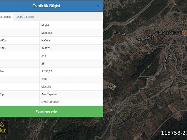 LİDERDEN Muğla Menteşe Kafacada Satılık Zeytinli Tarla - Görsel 5