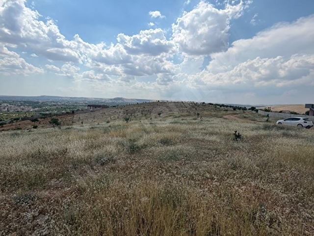 OĞUZELİ GÜRSUNUN EN TEPE NOKTASINDA HER YERE HAKİM OLAN ARAZİMİZ - Görsel 8