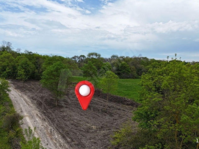 Sinop Merkezde Orman ve Doğa İçerisinde 1.705 m² Satılık Parsel - Görsel 3