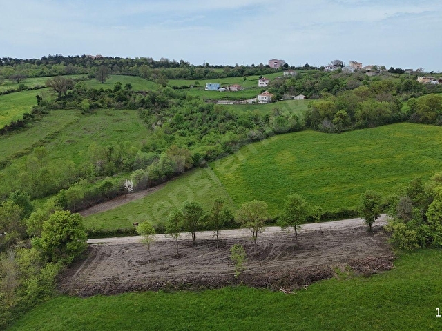 Sinop Merkezde Orman ve Doğa İçerisinde 1.705 m² Satılık Parsel - Görsel 9