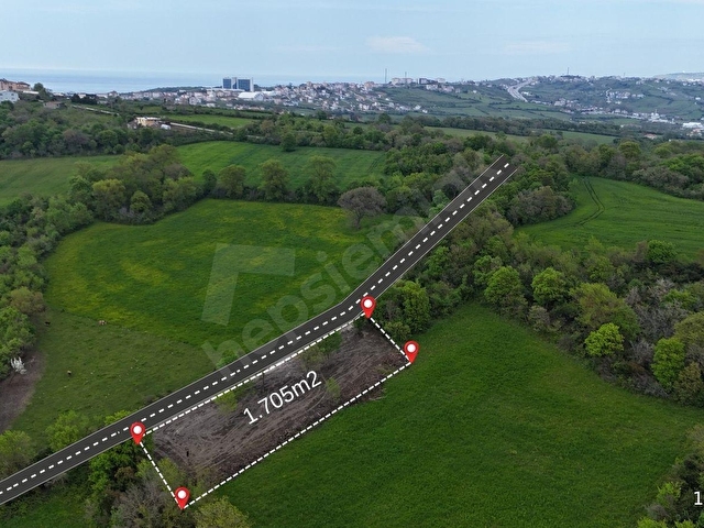 Sinop Merkezde Orman ve Doğa İçerisinde 1.705 m² Satılık Parsel - Görsel 2