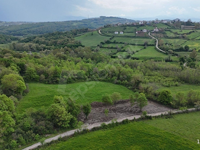 Sinop Merkezde Orman ve Doğa İçerisinde 1.705 m² Satılık Parsel - Görsel 6