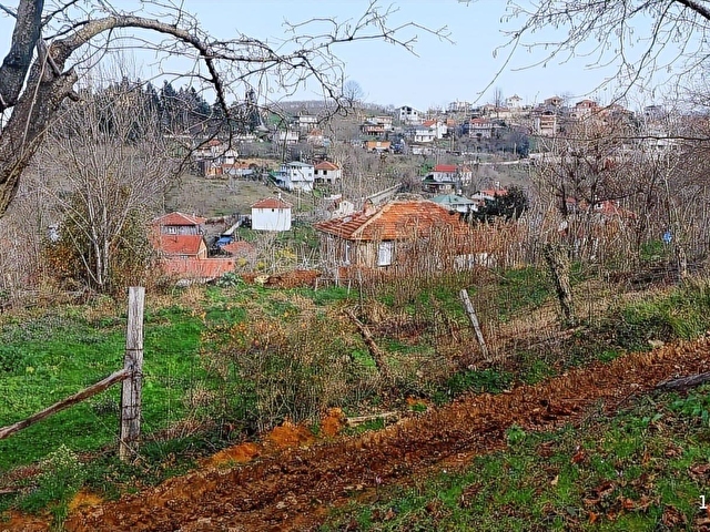 AKÇAKOCA AKTAŞ KÖYÜ SATILIK DOĞA VE DENİZ MANZARALI ARSA - Görsel 9
