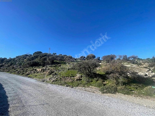BODRUM YAKAKÖY’DE 10.366 M² YATIRIMLIK FIRSAT! - Görsel 2