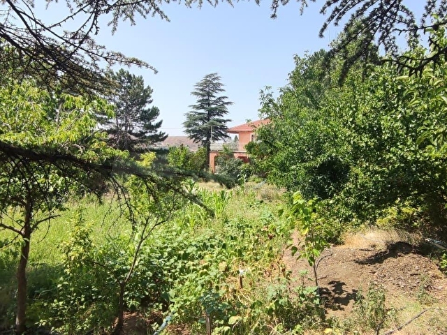 🏡 AKYURT GÜZELHİSARDA KONUT İMARLI MÜSTAKİL VİLLA ARSASI – HAVUZLU EV + MEYVE BAHÇESİ + KENDİ SUYU - Görsel 6