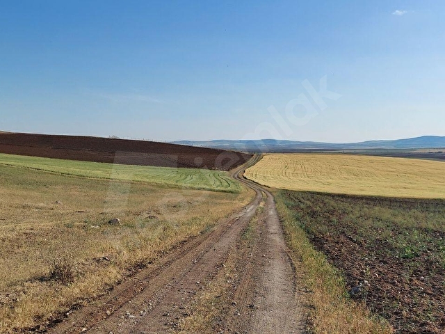 SATILIK 10140M2 ANA YOLA CEPHELİ TARLA TEK TAPU, KÖK TAPU - Görsel 28