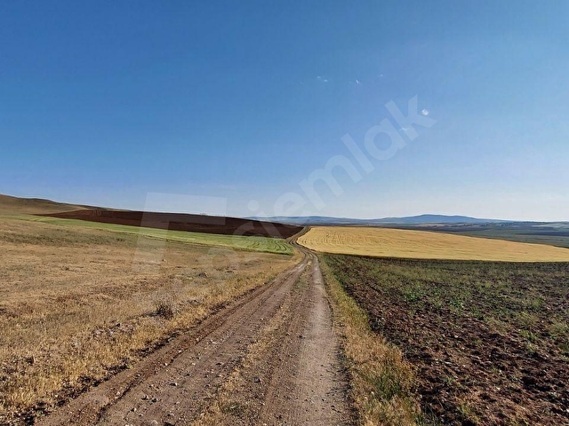 SATILIK 10140M2 ANA YOLA CEPHELİ TARLA TEK TAPU, KÖK TAPU - Görsel 12