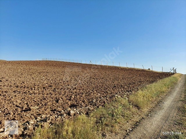 SATILIK 10140M2 ANA YOLA CEPHELİ TARLA TEK TAPU, KÖK TAPU - Görsel 15
