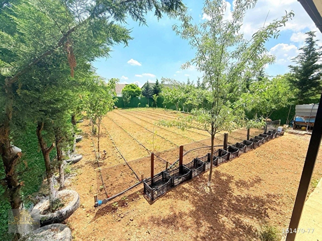 SEFADAN FIRSAT HOBİ BAHÇESİ FULL EKSİKSİZ 500MT KULLANIMA HAZIR - Görsel 9