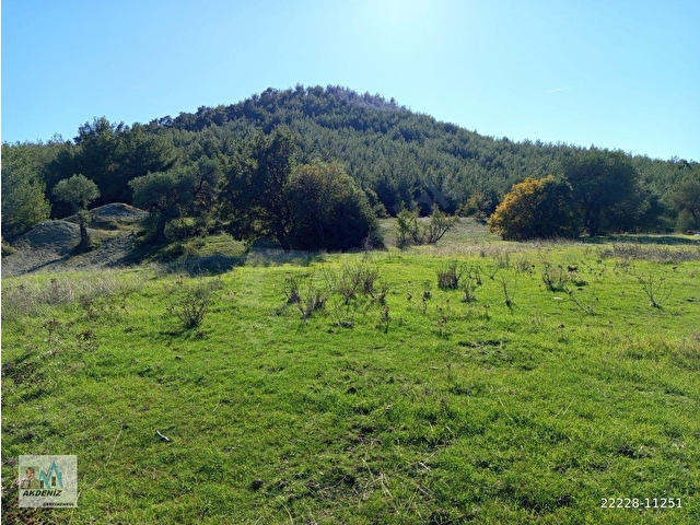 Akdeniz Emlaktan Satılık Şehzadeler İlç Gökbel Mah 11050 m2 Tarla - Görsel 22