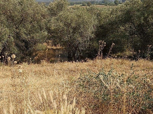 Satılık Arsa İmarlı Ruhsatı Alınmıştır - Görsel 5