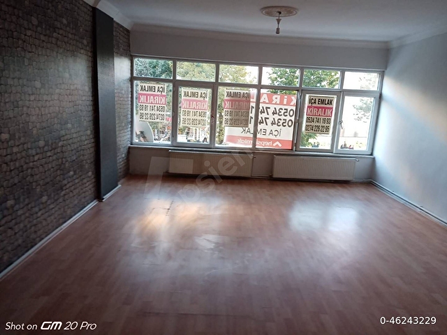 Merkez Servi Kiralık