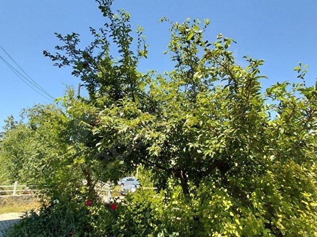 DALAMAN KARAÇALI MAHALLESİNDE KİRALIK 2+1 DAİRE - Görsel 24