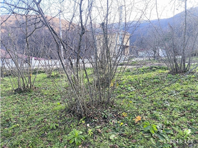 Düzce kaynaşlı çele Mahallesinde satılık imarlı arsa - Görsel 14