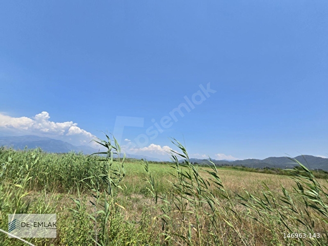 KÖYCEĞİZ GÖLÜNE ÇOK YAKIN 16.500 m² MÜSTAKİL TAPULU TARLA - Görsel 21