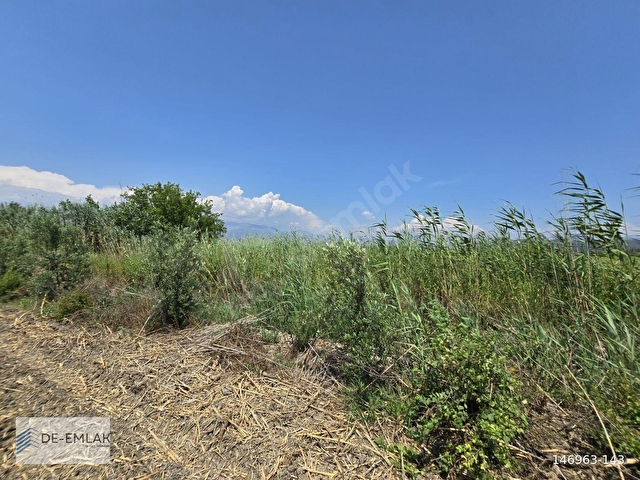 KÖYCEĞİZ GÖLÜNE ÇOK YAKIN 16.500 m² MÜSTAKİL TAPULU TARLA - Görsel 16
