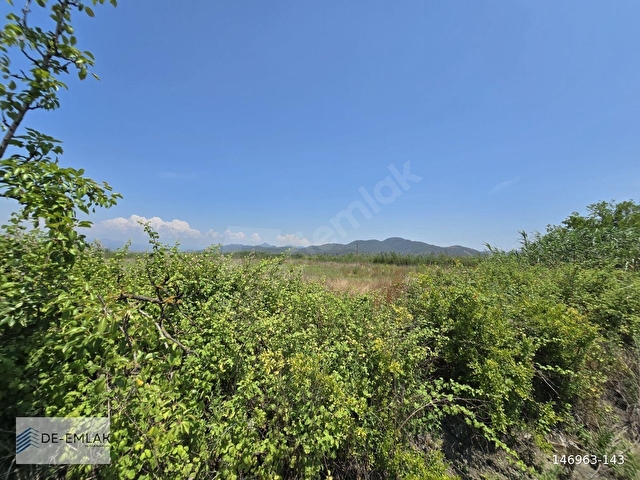 KÖYCEĞİZ GÖLÜNE ÇOK YAKIN 16.500 m² MÜSTAKİL TAPULU TARLA - Görsel 6