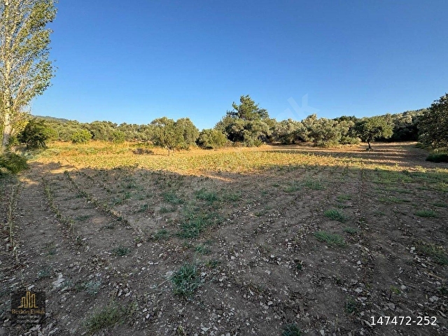 Torbalı Karakızlarda toplam 3488 m2, 5 Hisse Aynı Kişiye Ait Satılık Tarla - Görsel 5