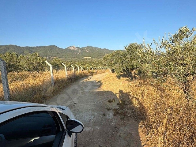 Torbalı Karakızlarda toplam 3488 m2, 5 Hisse Aynı Kişiye Ait Satılık Tarla - Görsel 9