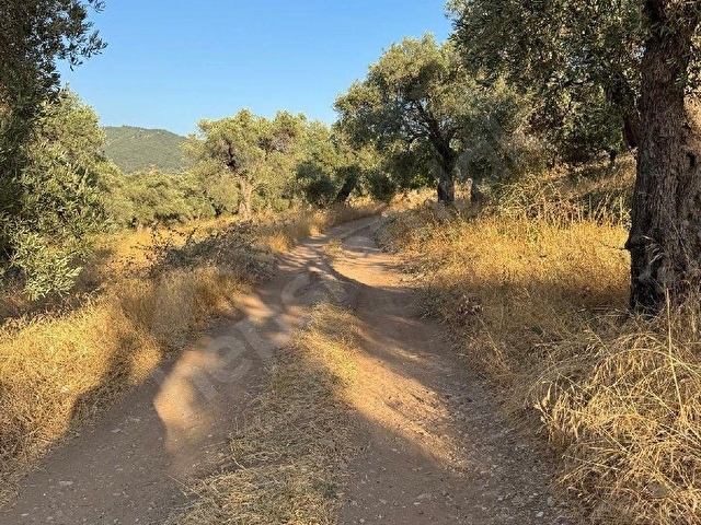 Torbalı Karakızlarda toplam 3488 m2, 5 Hisse Aynı Kişiye Ait Satılık Tarla - Görsel 10