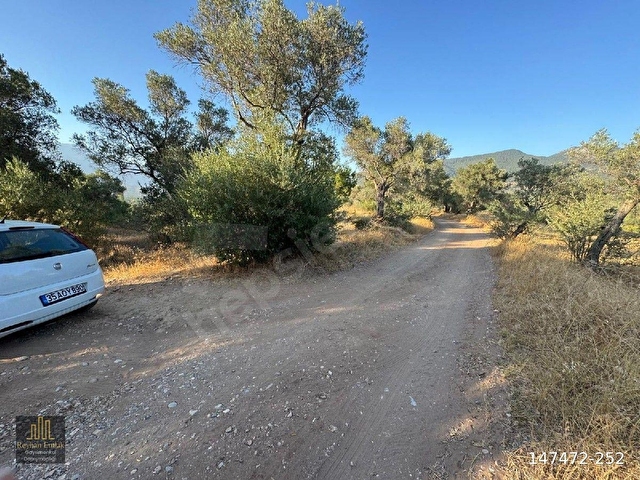 Torbalı Karakızlarda toplam 3488 m2, 5 Hisse Aynı Kişiye Ait Satılık Tarla - Görsel 17