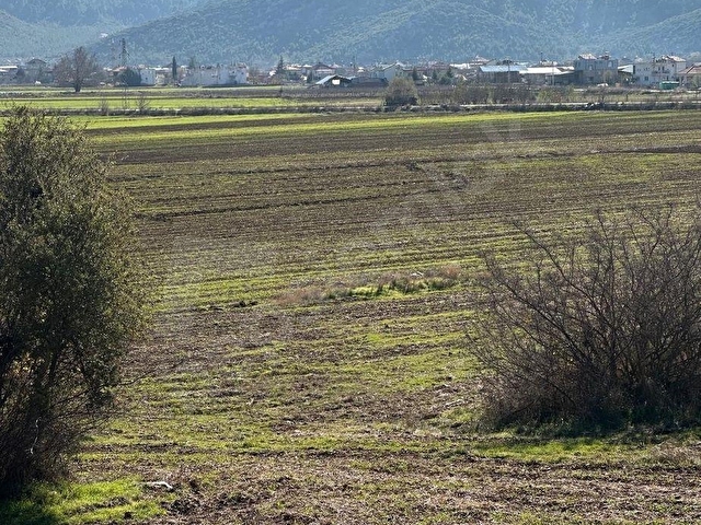 Bucak Avdancıkta 2663 M² Yatırımlık Tarla - Görsel 11