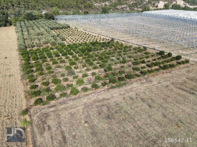 MANAVGAT GÜNDOĞDU MAH SATILIK TARIM ARAZİSİ - Görsel 2