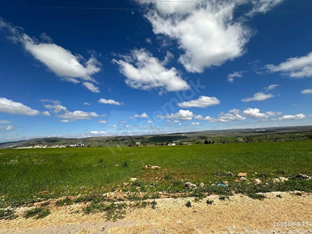 UYARAN 79 GAYRİMENKULDEN POLATELİ GÜLDÜZÜ SATILIK 1406,91 M2ARSA - Görsel 3