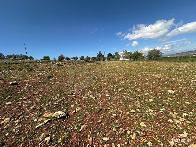 UYARAN 79 GAYRİMENKULDEN POLATELİ GÜLDÜZÜ SATILIK 1406,91 M2ARSA - Görsel 2