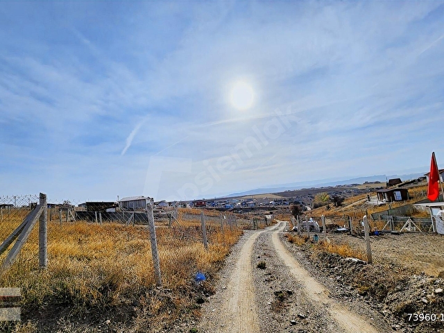 TAPULU BAHCE 322 M2 KAVAKLIDA - Görsel 3