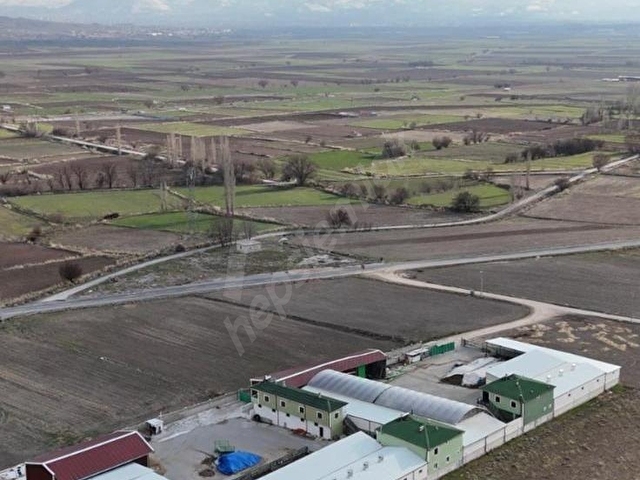 Tam Donanımlı Besi Çiftliği: 800 Kapasite, 5 Lüks Daire, 6691m² Alan