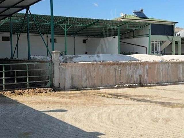 Tam Donanımlı Besi Çiftliği: 800 Kapasite, 5 Lüks Daire, 6691m² Alan - Görsel 19