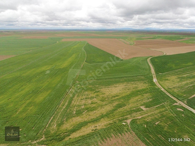 ACİL!! ESKİŞEHİRDE TEK TAPU 3.992 M2 OTOYOLA YAKIN TARLA - Görsel 5