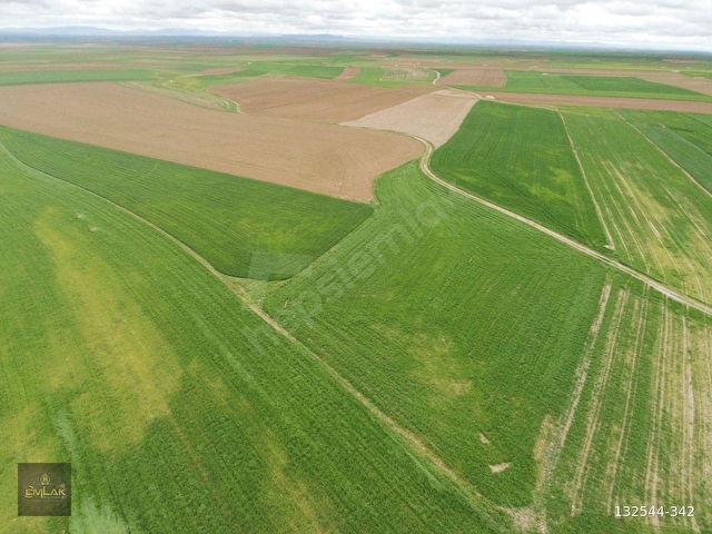 ACİL!! ESKİŞEHİRDE TEK TAPU 3.992 M2 OTOYOLA YAKIN TARLA - Görsel 4