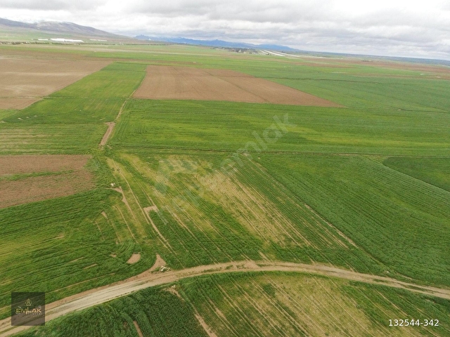 ACİL!! ESKİŞEHİRDE TEK TAPU 3.992 M2 OTOYOLA YAKIN TARLA - Görsel 9