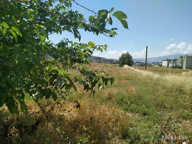 ÇINAR CNR ENLAK YATIRIM DANIŞMANLIK - Görsel 10