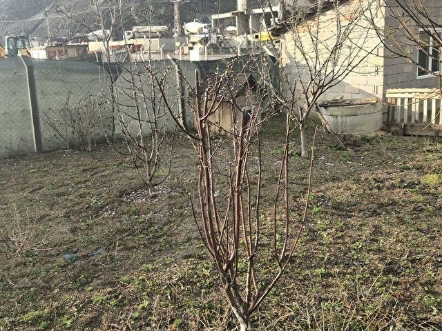 KEÇİÖRENDE NEST INVESTTDEN BAĞLAR CADDE ÜZERİ HİSSELİ ARSA - Görsel 16