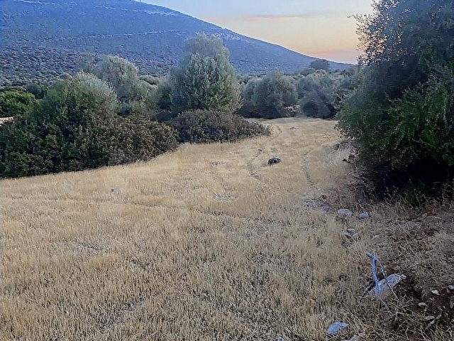 aydın didimde satılık imarlı tek tapu arsa - Görsel 5