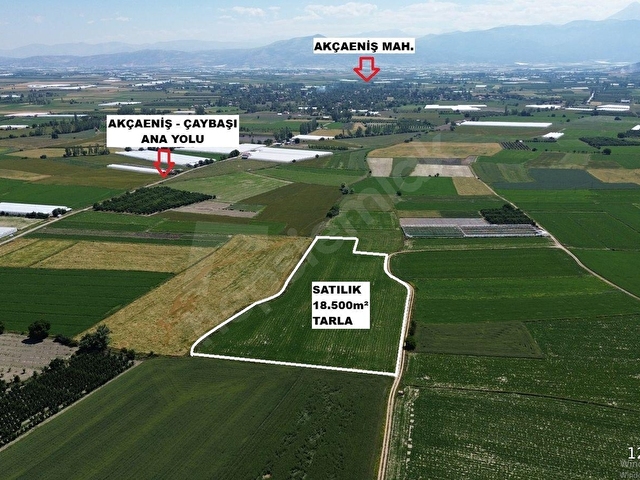 VİP GAYRİMENKULden ZÜMRÜTOVA MAH. 18.500m² TARLA - Görsel 6